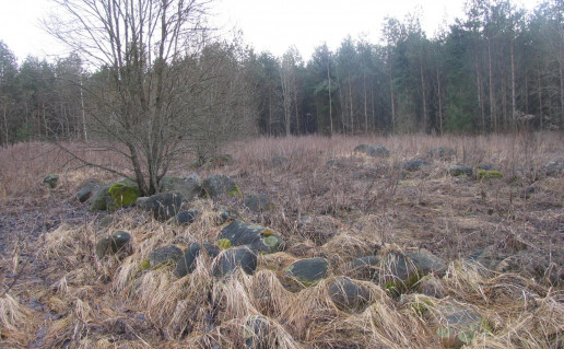 5_Rimašių akmenynas.jpg